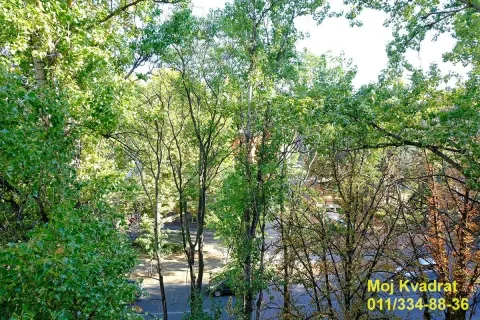 Prodaja, dvosoban stan, 46m², Hala Pionir, Palilula Sve Podlokacije - image 9