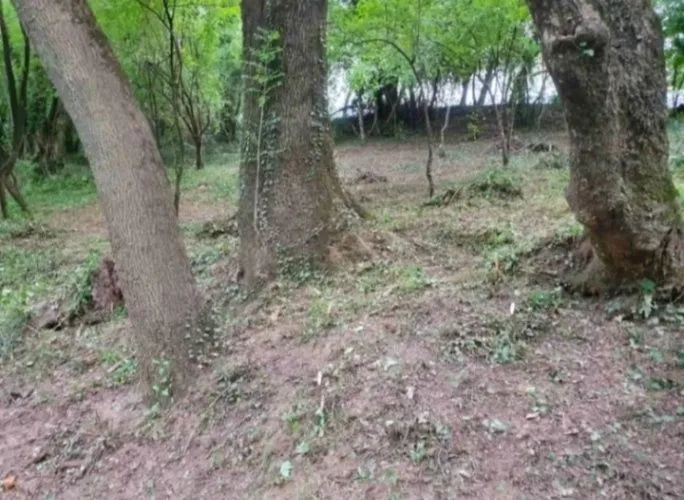 Prodaja, plac, 8500m², Frutak, Danilovgrad
