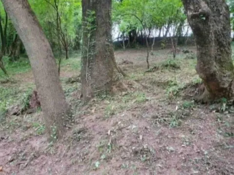 Sale, land lot, 8500m², Frutak, Danilovgrad - image 8