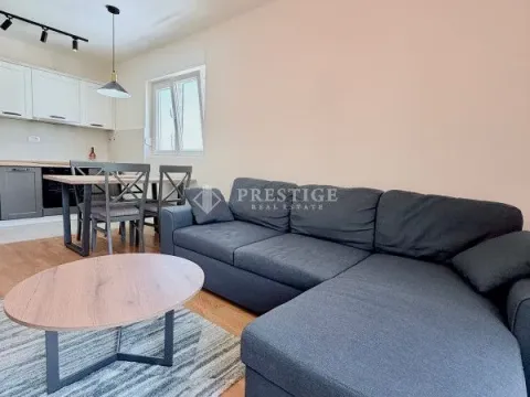 Rent, one bedroom apartment, 42m², Pobrežje, Podgorica - image 2