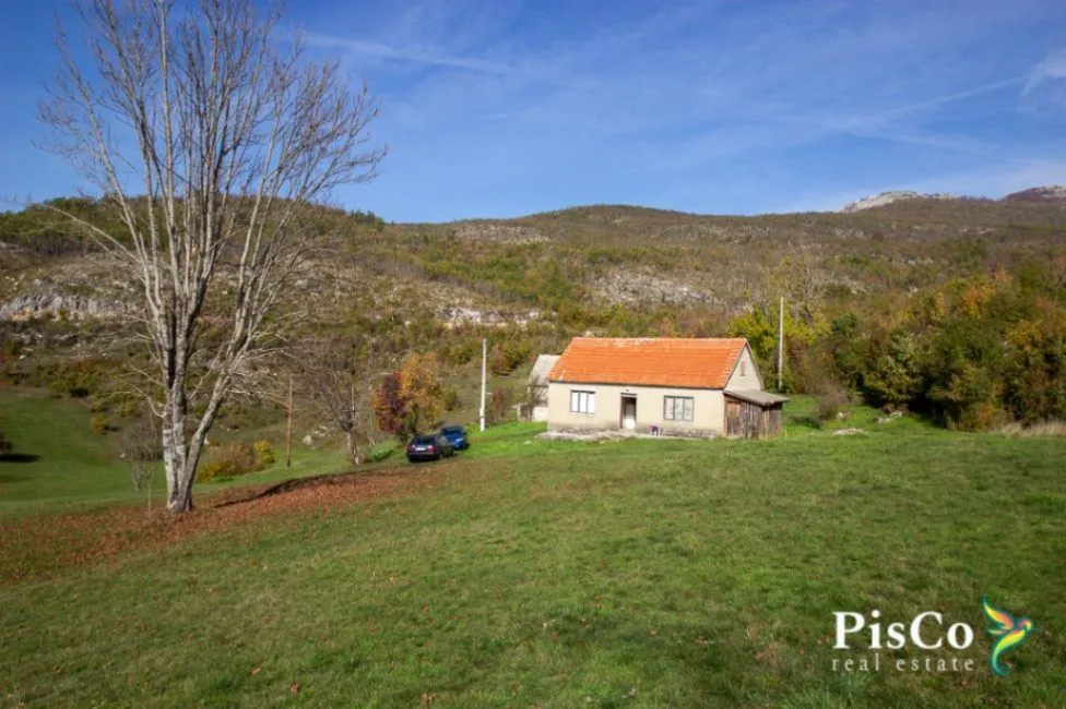 Sale, land lot, 100000m², Jasenovo Polje, Nikšić