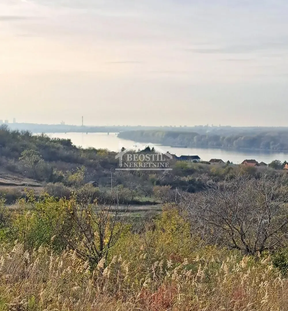 Prodaja, plac, 3000m², Višnjica, Palilula Sve Podlokacije