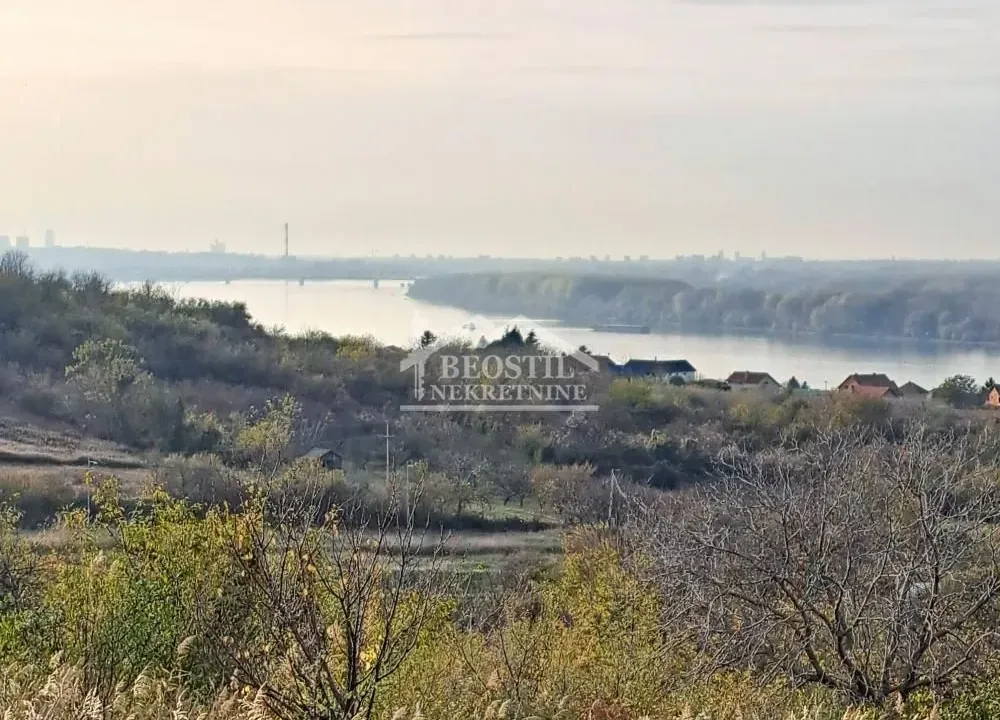 Prodaja, plac, 3000m², Višnjica, Palilula Sve Podlokacije