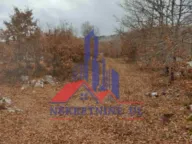 Prodaja, plac, 74831m², Kuči, Podgorica - image 4