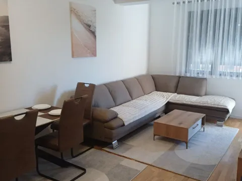 Izdavanje, jednosoban stan, 44m², Stari Aerodrom, Podgorica - image 1