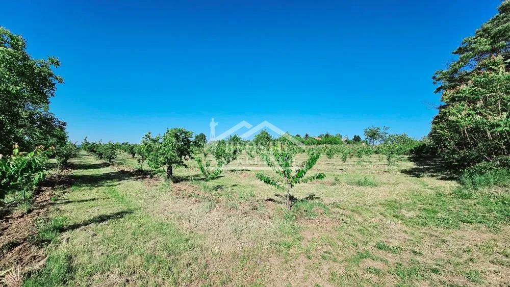 Prodaja, plac, 8900m², Grocka, Beograd