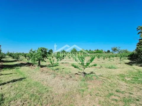 Sale, land lot, 8900m², Grocka, Beograd - image 4