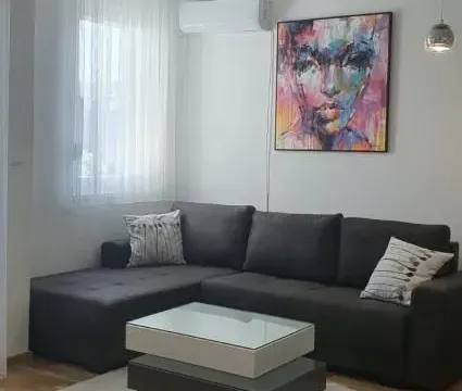 Izdavanje, dvosoban stan, 47m², Petrovaradin, Novi Sad - image 2