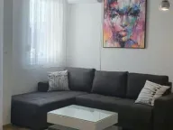 Izdavanje, dvosoban stan, 47m², Petrovaradin, Novi Sad - image 2