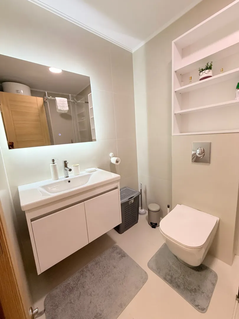 Modern bathroom equipped with a washbasin and toilet.