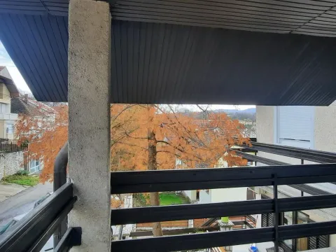 Prodaja, kuća, 380m², Šanac, Loznica - image 4