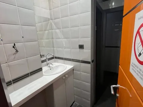 Izdavanje, poslovni prostor, 201m², Botanička Bašta, Palilula Sve Podlokacije - image 9