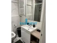 Izdavanje, stan, 35m², Novi Beograd Blok 65, Novi Beograd Sve Podlokacije - image 12