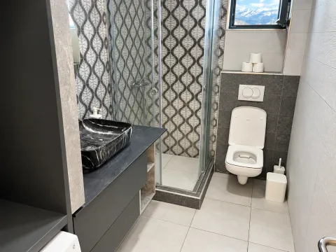 Modern bathroom with a shower cabin, washbasin, and toilet. - image 7