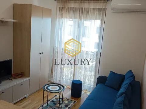 Rent, studio apartment, 20m², Zabjelo, Podgorica - image 1