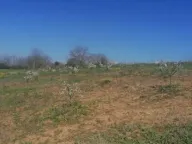 Prodaja, plac, 7100m², Umčari, Grocka - image 3