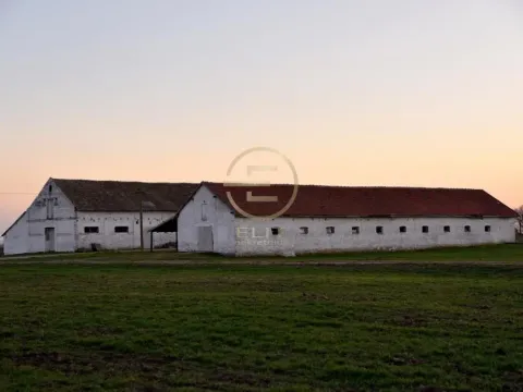 Prodaja, plac, 980m², Vrbas, Novi Sad - image 10