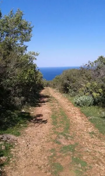 Sale, land lot, 10390m², Ulcinj, Crna Gora