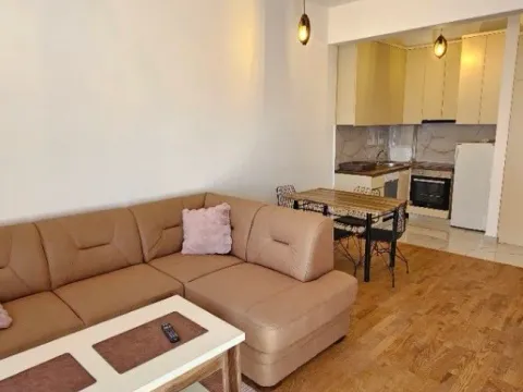 Izdavanje, jednosoban stan, 40m², Zabjelo, Podgorica - image 5