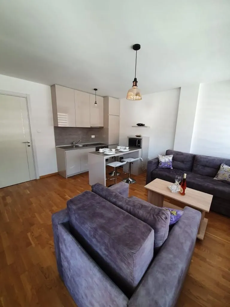 Living room with kitchen and dining area.