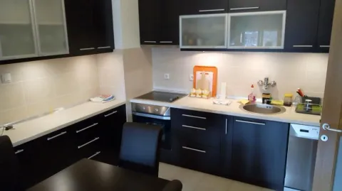Izdavanje, dvosoban stan, 50m², Nova Detelinara, Novi Sad Sve Podlokacije - image 5