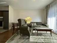 Izdavanje, jednosoban stan, 50m², Podgorica, Crna Gora - image 1