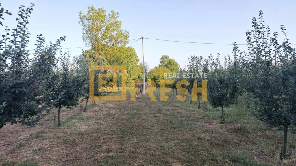 Prodaja, plac, 3800m², Danilovgrad, Crna Gora