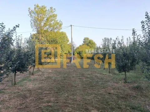 Sale, land lot, 3800m², Danilovgrad, Crna Gora