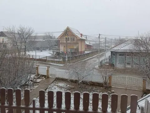 Prodaja, kuća, 250m², Budžino brdo, Jagodina - image 4