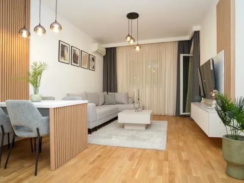 Izdavanje, jednosoban stan, 46m², Stari Aerodrom, Podgorica - image 2