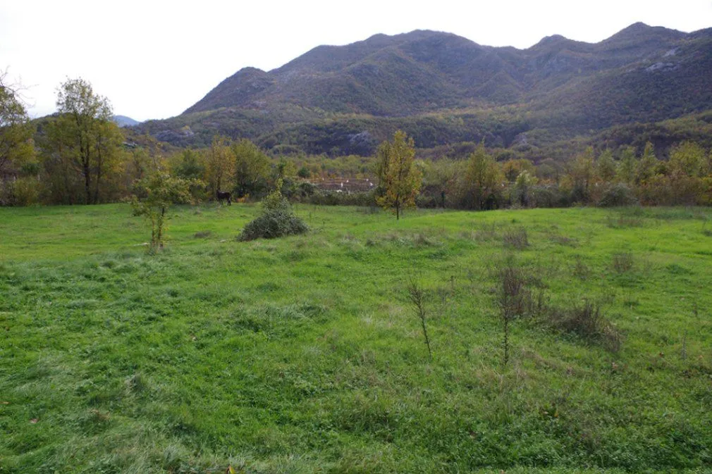 Prodaja, plac, 7000m², Dobrsko Selo, Cetinje