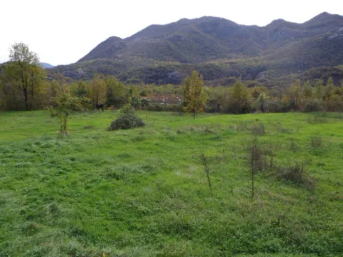Prodaja, plac, 7000m², Dobrsko Selo, Cetinje - image 5