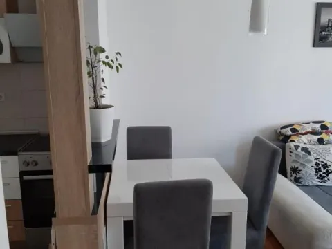 Izdavanje, jednosoban stan, 45m², Sajmište, Novi Sad - image 4