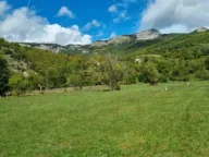 Prodaja, plac, 32000m², Donje Lipovo, Kolašin - image 4