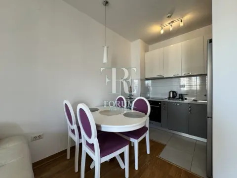 Rent, one bedroom apartment, 45m², City Kvart, Podgorica - image 5