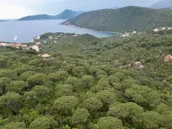 Prodaja, plac, 1046m², Herceg Novi, Crna Gora - image 7