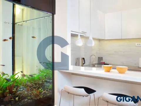 Prodaja, stan, 250m², Savski Venac, Beograd - image 2