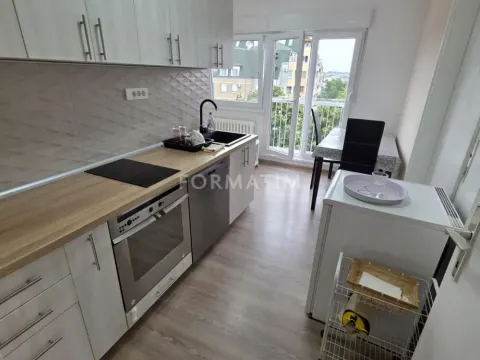 Sale, one bedroom apartment, 39m², Voždovac Sve Podlokacije, Beograd - image 3
