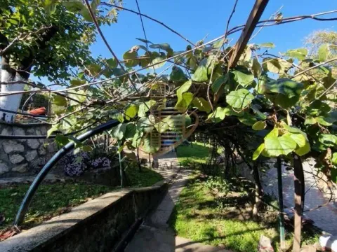 Prodaja, kuća, 160m², Čerević, Beočin - image 17