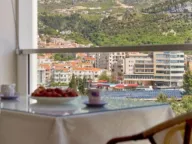 Izdavanje, jednosoban stan, 63m², Tree cane, Budva - image 11