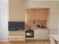 Izdavanje, jednosoban stan, 35m², Zabjelo, Podgorica - image 1