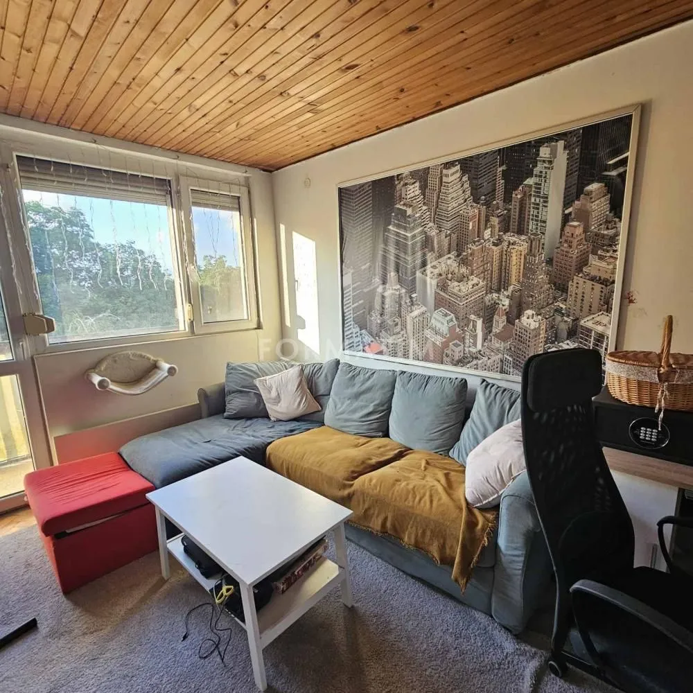 Rent, two bedroom apartment, 55m², Karaburma, Palilula Sve Podlokacije