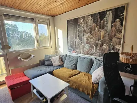Rent, two bedroom apartment, 55m², Karaburma, Palilula Sve Podlokacije - image 14