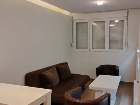 Izdavanje, jednosoban stan, 38m², Gintaš, Podgorica - image 2