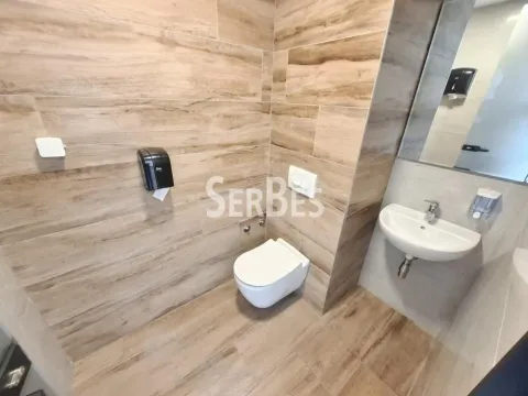 Rent, office space, 314m², Liman 3, Novi Sad Sve Podlokacije - image 18