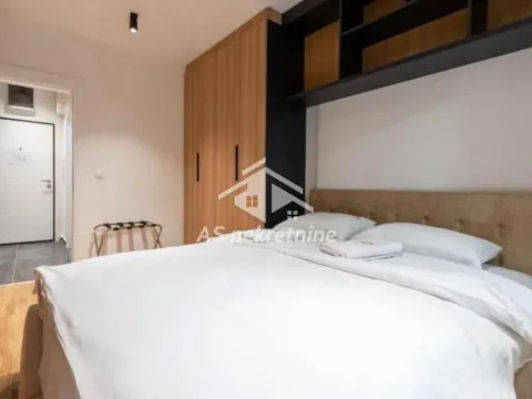 Izdavanje, dvosoban stan, 55m², Južni Bulevar, Vračar Sve Podlokacije - image 12