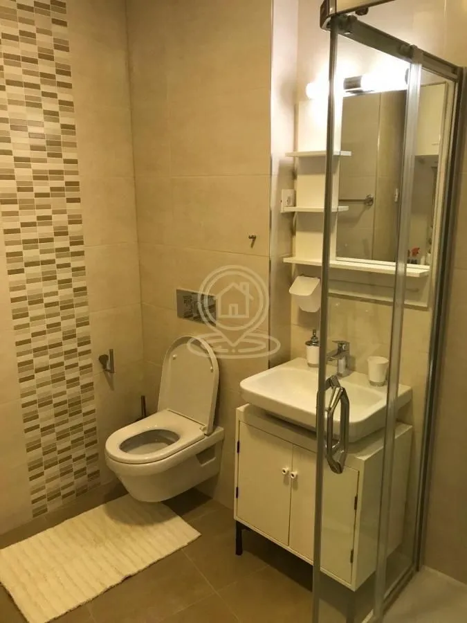 Izdavanje, dvosoban stan, 35m², Južni Bulevar, Vračar Sve Podlokacije