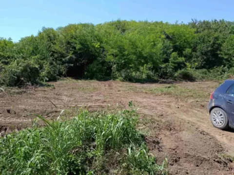 Sale, land lot, 800m², Krčedin, Inđija - image 2