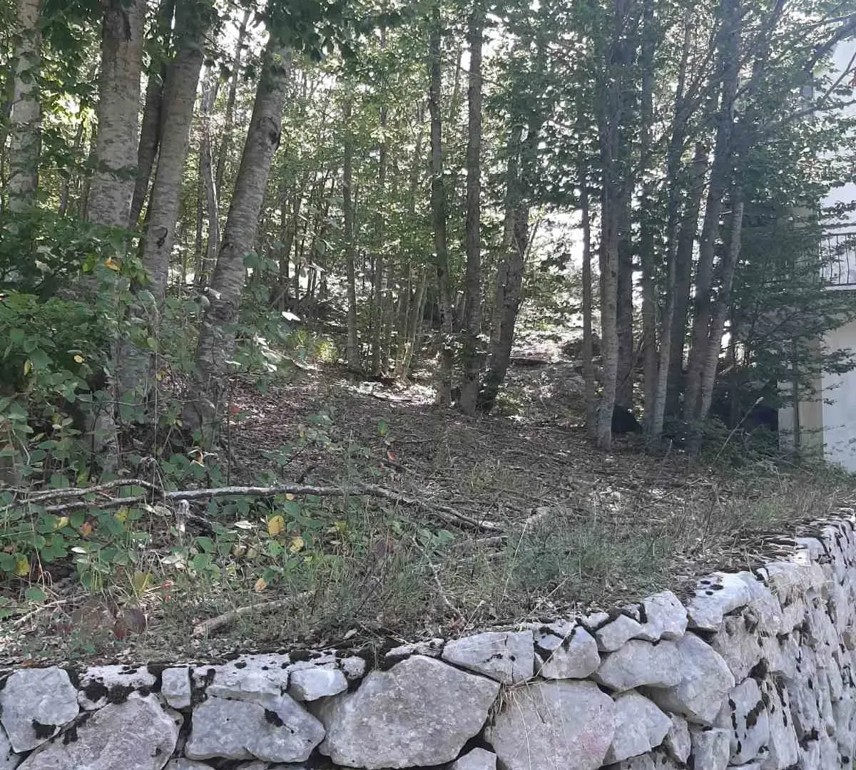 Prodaja, kuća, 200m², Cetinje, Crna Gora