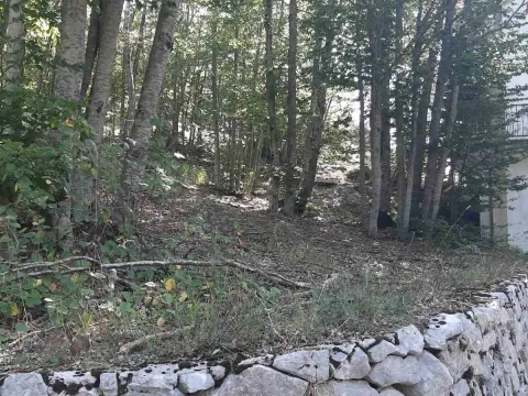 Prodaja, kuća, 200m², Cetinje, Crna Gora - image 4